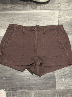 aerie Chocolate Brown Cargo Shorts